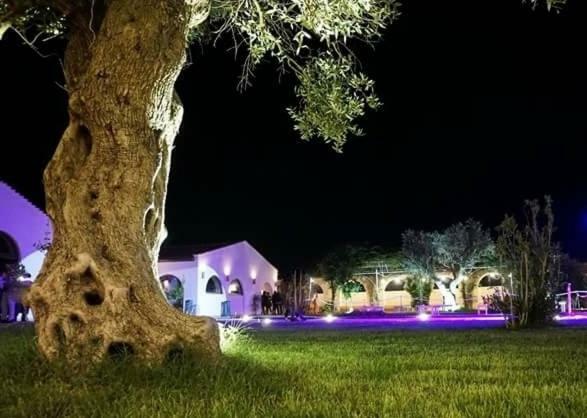 Masseria Colle Carro Ba07200451000019667 Altamura Exterior foto