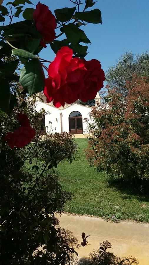 Masseria Colle Carro Ba07200451000019667 Altamura Exterior foto